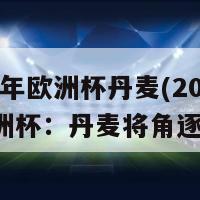 2024年欧洲杯丹麦(2024年欧洲杯：丹麦将角逐冠军)