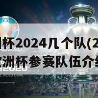 欧洲杯2024几个队(2028年欧洲杯参赛队伍介绍)