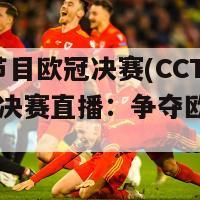 cctv5节目欧冠决赛(CCTV5欧冠决赛直播：争夺欧洲足球之巅)