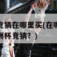 欧洲杯竞猜在哪里买(在哪里可以购买欧洲杯竞猜？)