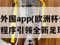 欧洲杯外围app(欧洲杯外围手机应用程序引领全新足球盛宴)