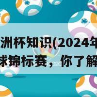 2024欧洲杯知识(2024年欧洲足球锦标赛，你了解多少？)