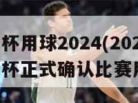 欧洲杯用球2024(2024年欧洲杯正式确认比赛用球)